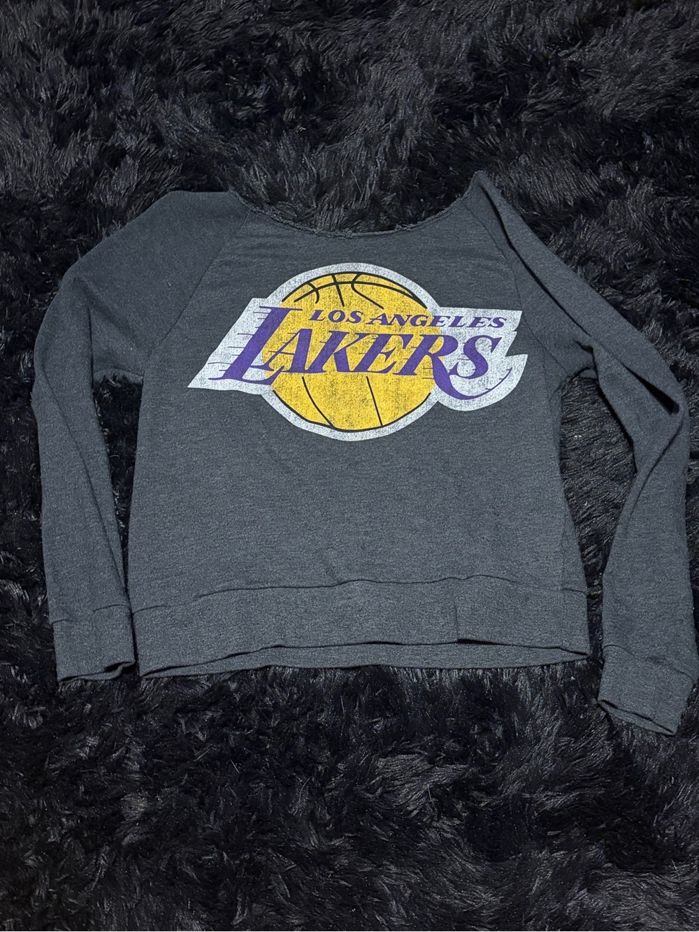 NBA Los Angeles Lakers Gray Crewneck with Yellow & Purple Logo